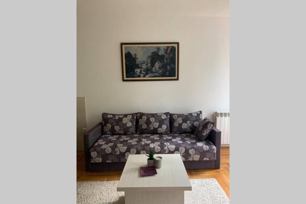 Renovated Cozy Studio 7 At Top Location - Available For Long Term Rentals Novi Sad Luaran gambar